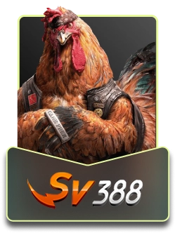 playbet888